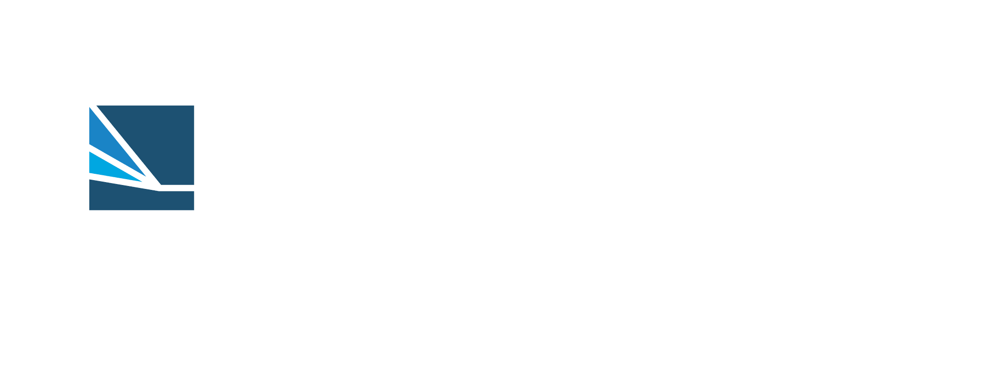 Prismview Logo